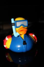 Scuba-duck! 